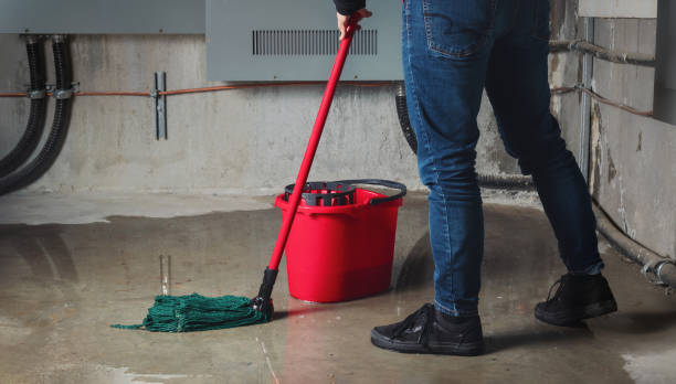 Best Mold removal after water damage  in Lakewood, CO