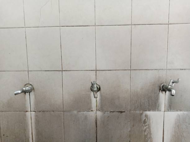 Best Flooded house restoration  in Lakewood, CO