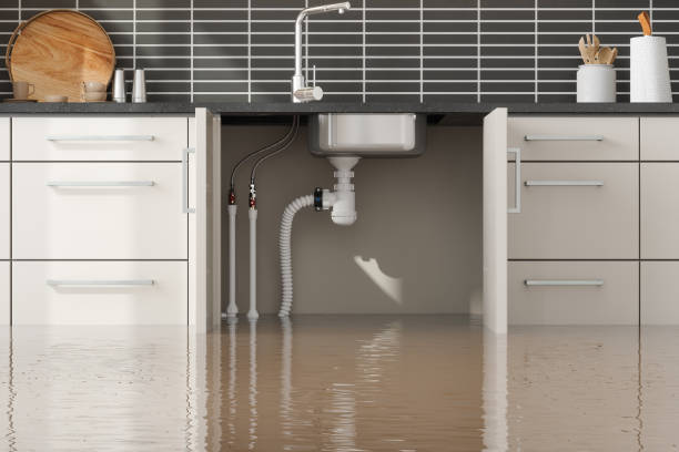 Best 24-hour water damage restoration  in Lakewood, CO