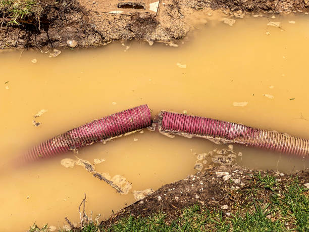 Reliable CO Water damage restoration Solutions