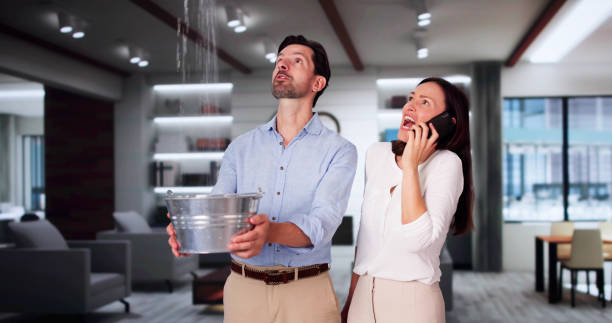 Best Professional water damage repair  in Lakewood, CO